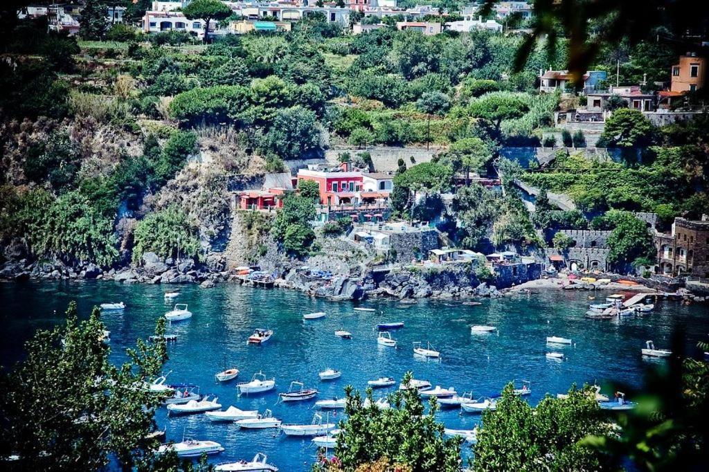 Hotel Villa Antonio 이스키아 외부 사진